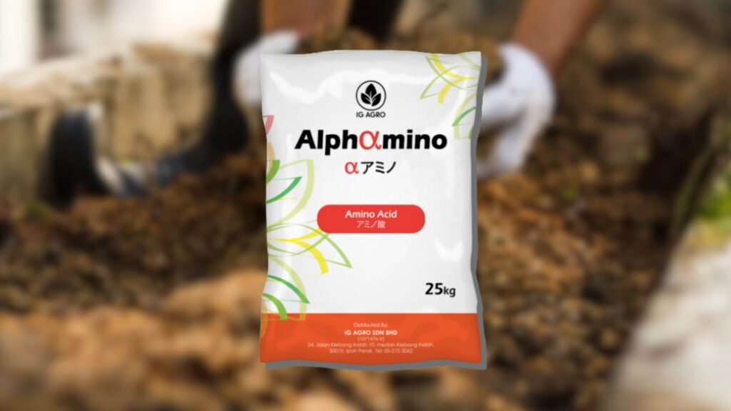 Asid Amino Alphamino merupakan penyelesaian pertanian termaju menggunakan butiran asid amino super yang dihasilkan dengan bioteknologi termaju.