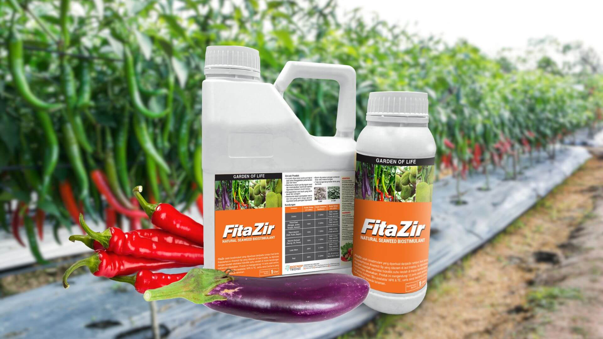 FitaZir - Biostimulan Semulajadi untuk Tumbuhan yang Lebih Sihat